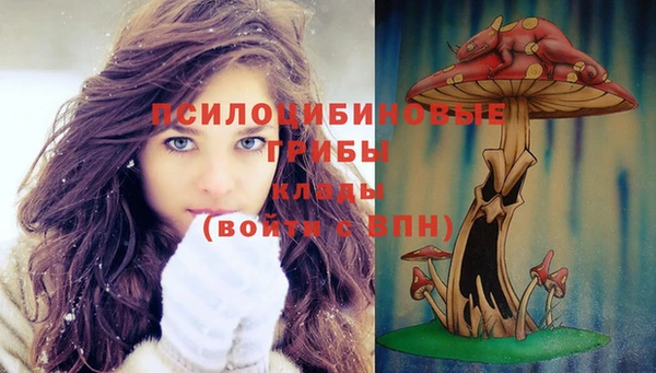тгк Навашино
