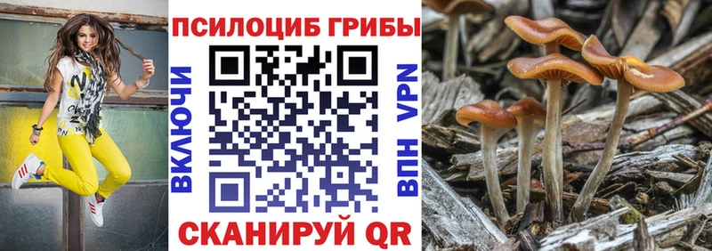 Псилоцибиновые грибы ЛСД  наркошоп  Великие Луки 