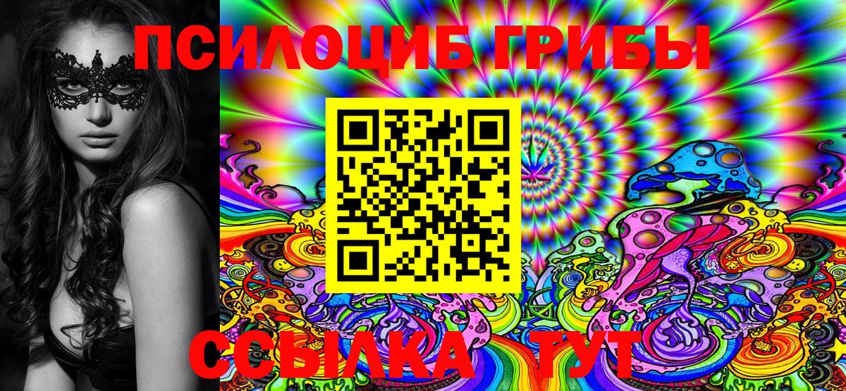 Псилоцибиновые грибы Cubensis  Галлюциногенные грибы прущие грибы  Великие Луки 