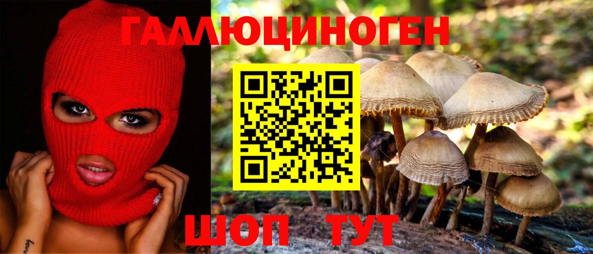Великие Луки  закладки  Вход с VPN  Галлюциногенные грибы прущие грибы 