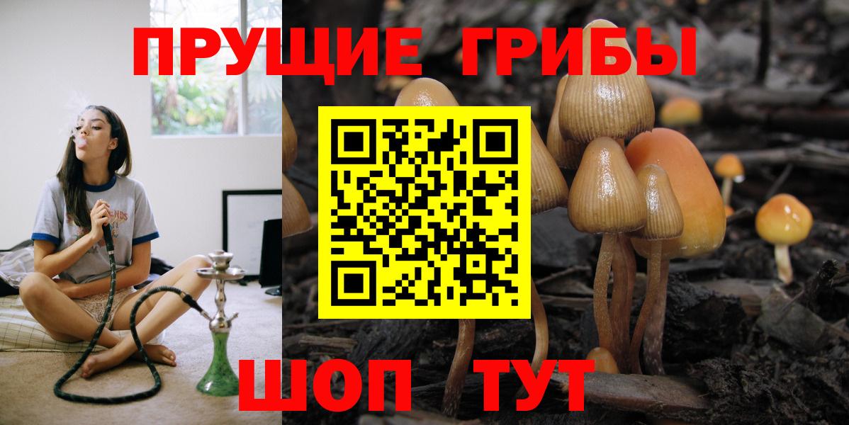 Псилоцибиновые грибы GOLDEN TEACHER Великие Луки